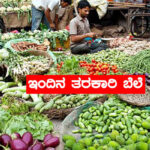 Today Vegetable price