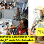 Women govt employees pension