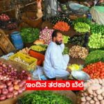 Today Vegetable Price