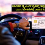 List Of Countries That Accept Indian Driving Licence