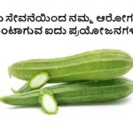 Ridge Gourd Benefits