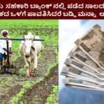 Farmer Loan