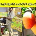 India Post To Deliver Mangoes