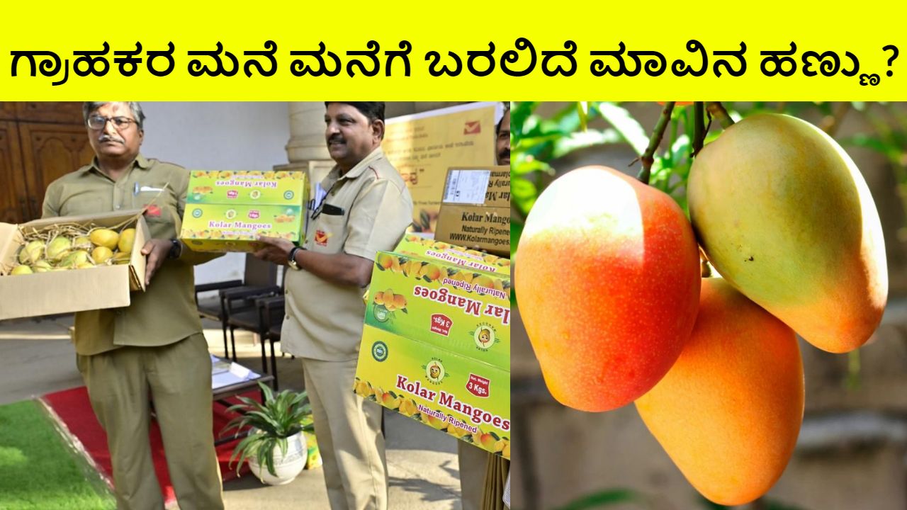 India Post To Deliver Mangoes