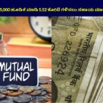 Mutual Fund Investment