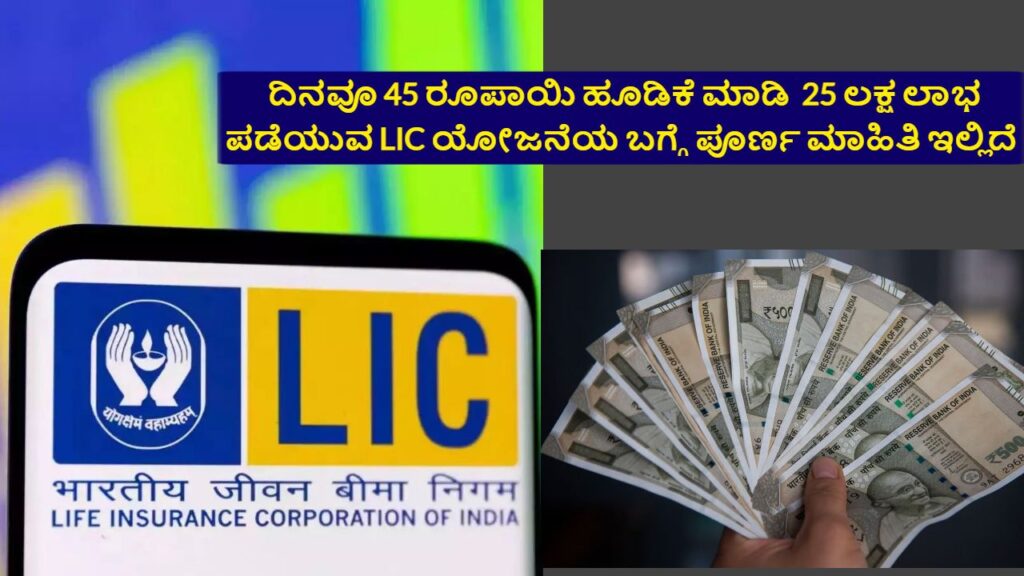 LIC scheme