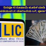 LIC scheme